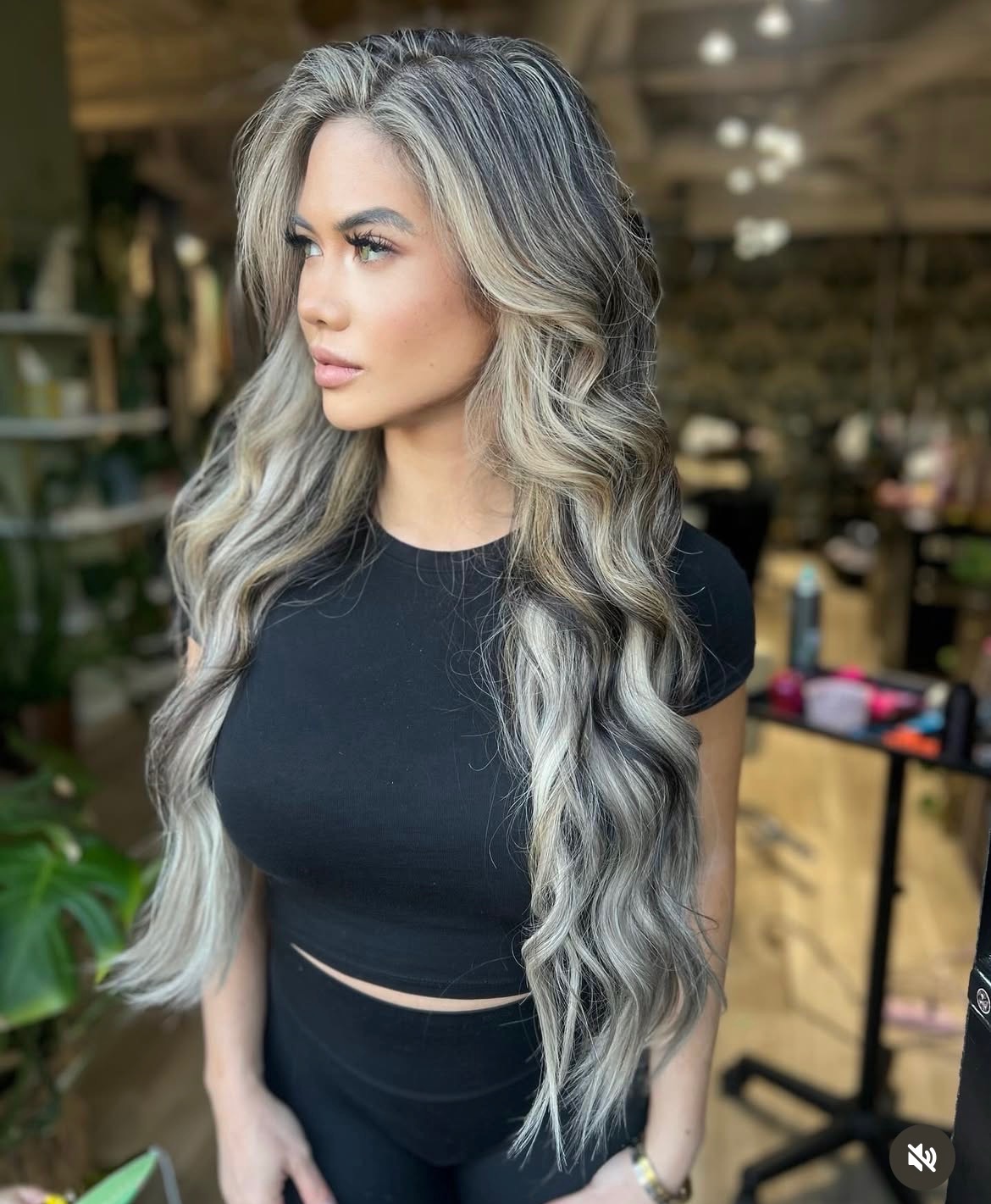Highlights — silver ash dimensional highlights